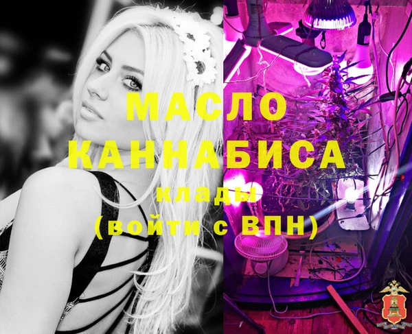 молекула духа Пересвет