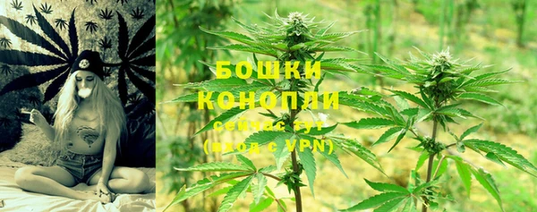 молекула духа Пересвет