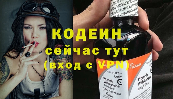 молекула духа Пересвет