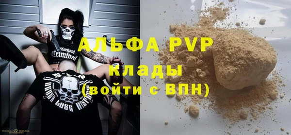 молекула духа Пересвет